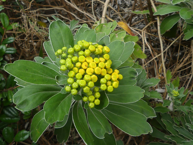 P5670774