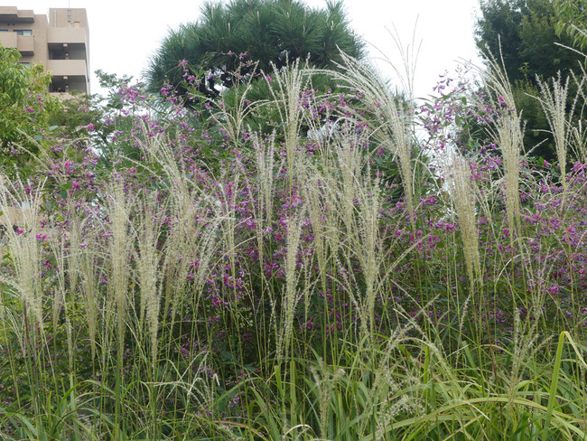 P3500037