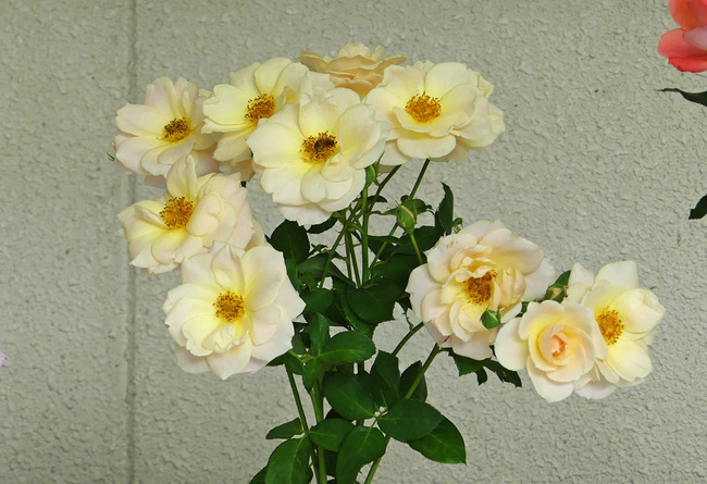 P3920963
