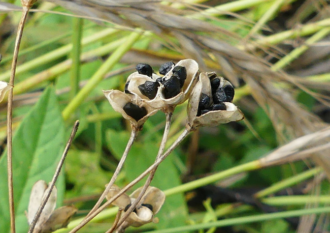 P4860211