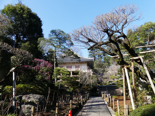 P5990162_edited-1