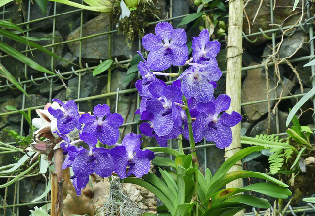 P1170157_edited-1