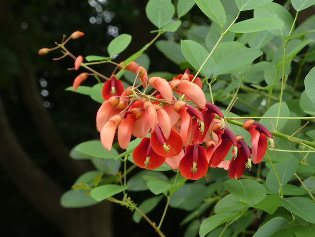 P6800787