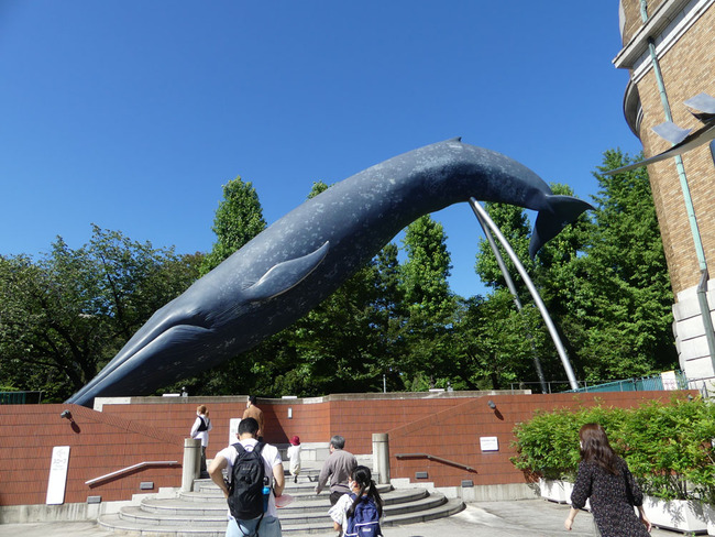 P6690582
