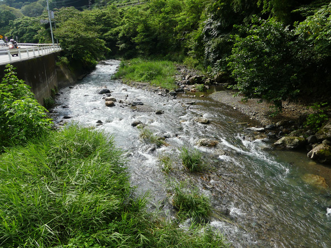 P5090755