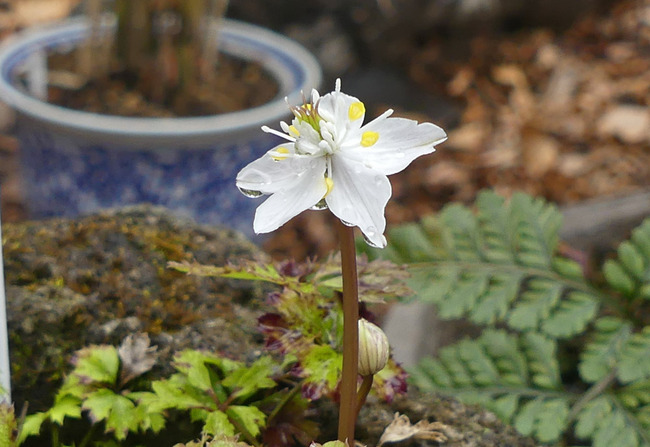 P1470023_edited-1