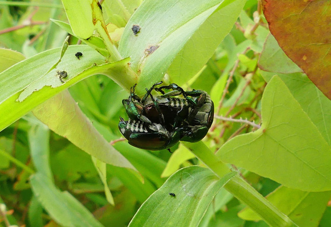 P6730068