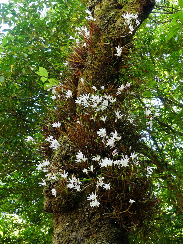 P5090052