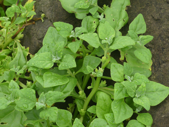 P5070243_edited-1