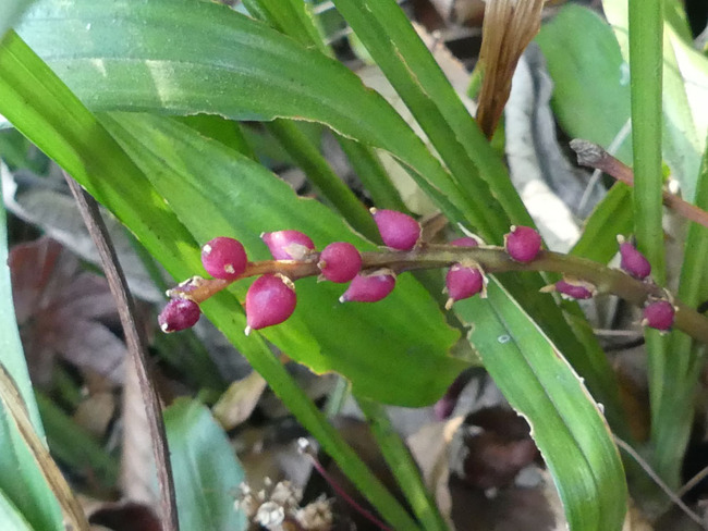 P5980409