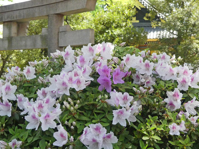P1710022