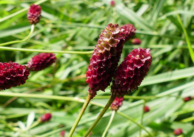 P5520830