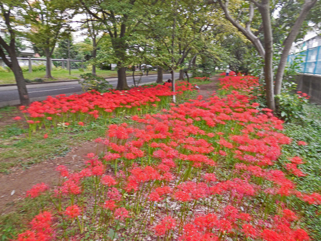 DSCN0760