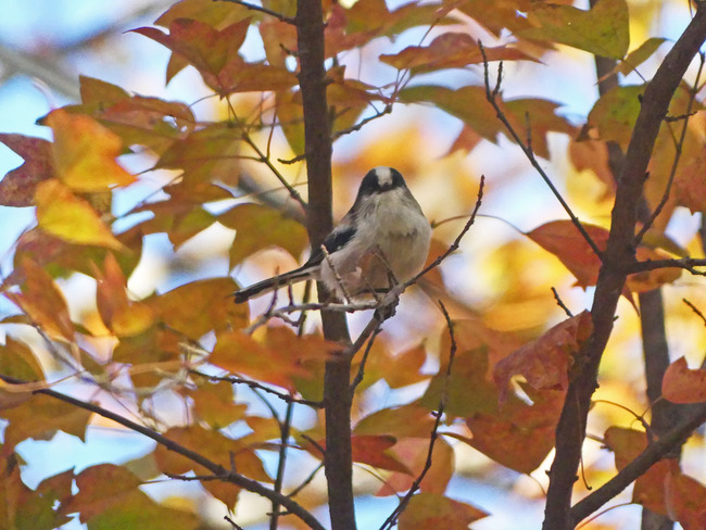 P3690016