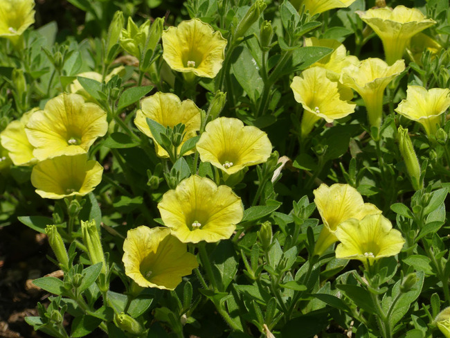 P6490266_edited-1