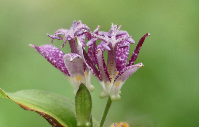 P4660355