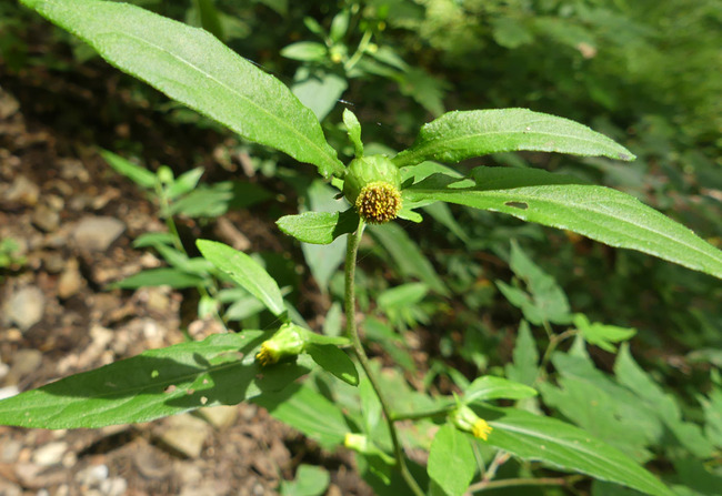 P7970477