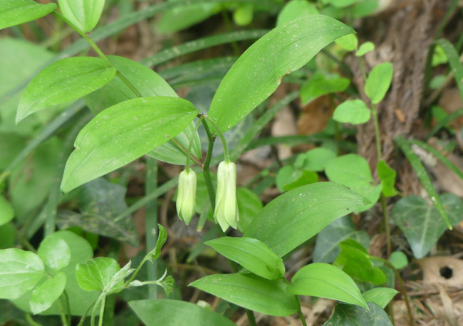 P2910082_edited-1