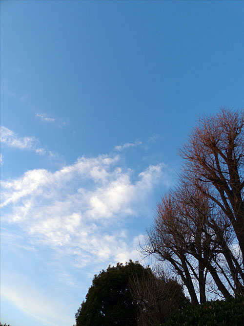 イメージ 13