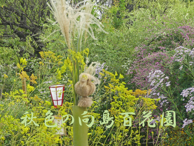 P3500114