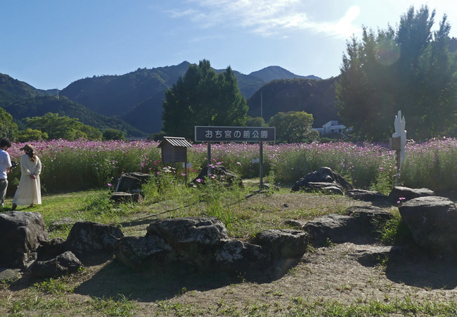 P3520808