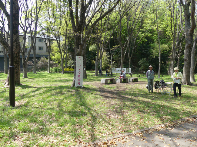 P2840325_edited-1