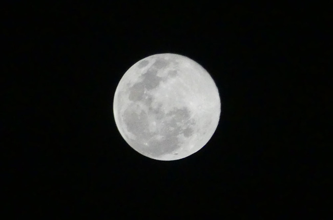 P5980316