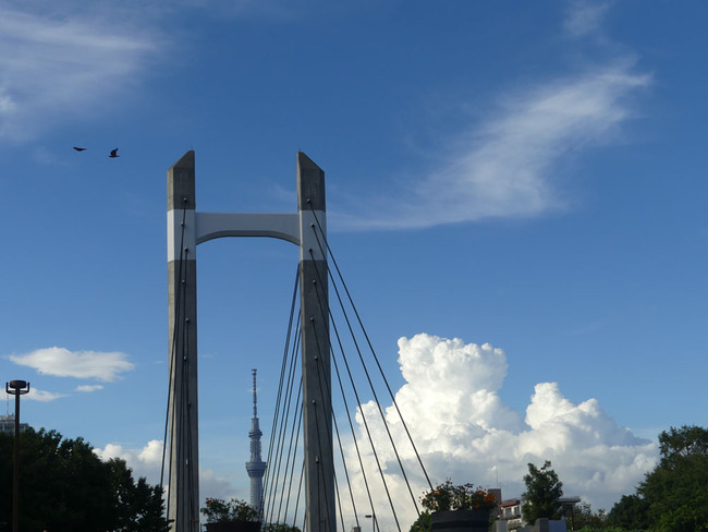 P5210236