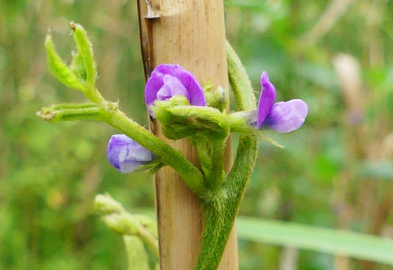 P5310618