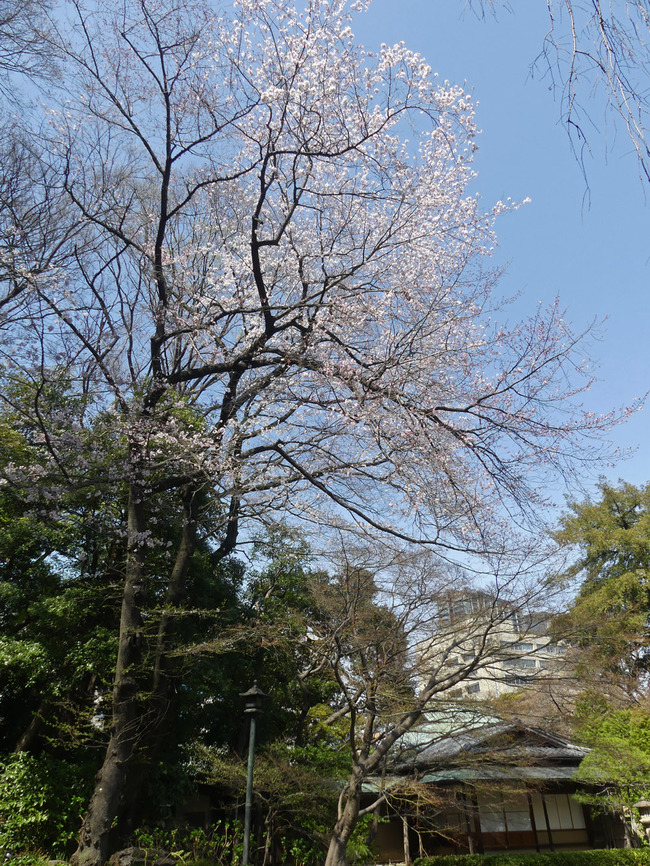 P1630828