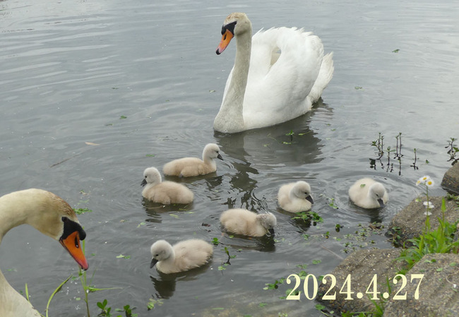 P1760102