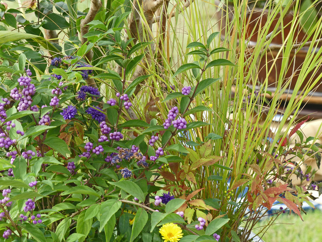 P2190427