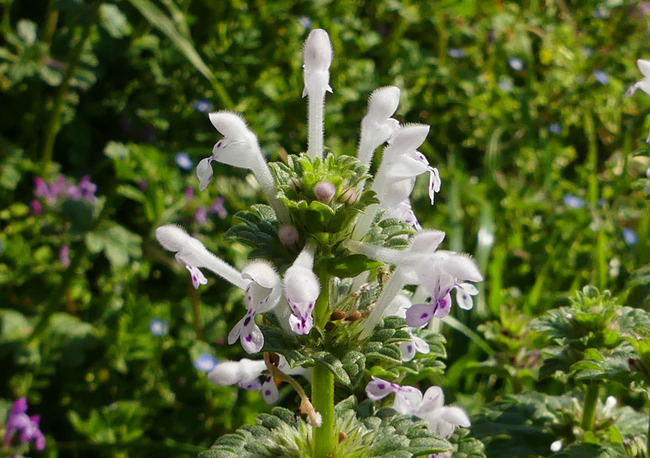 P5940239_edited-1