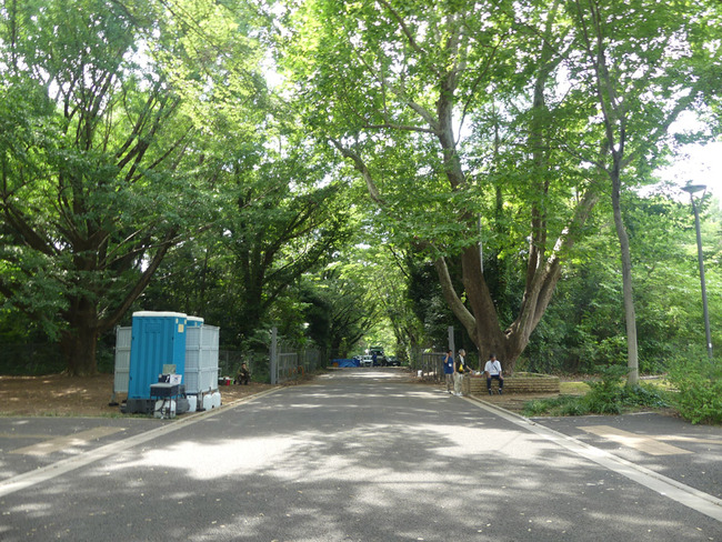 P1040373
