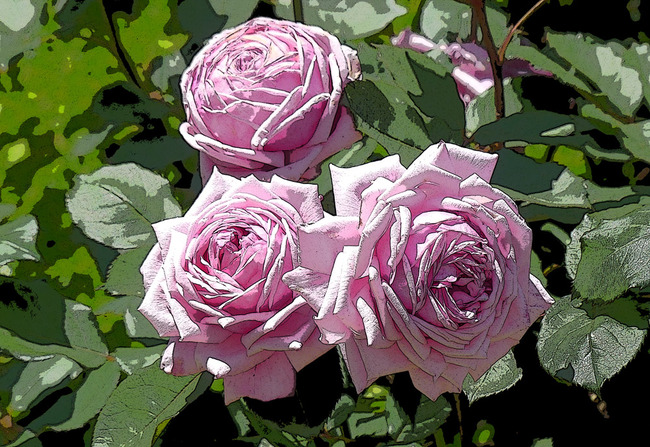 P1780684