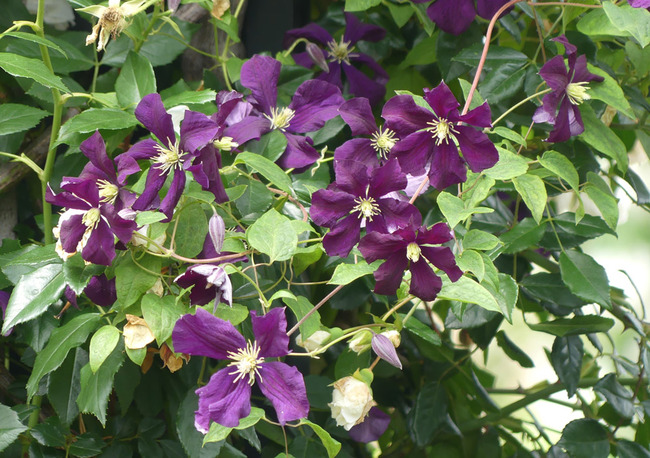 P3050533