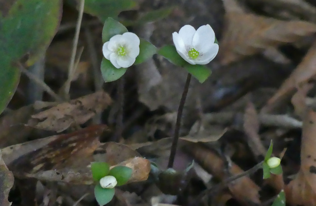 P1570090