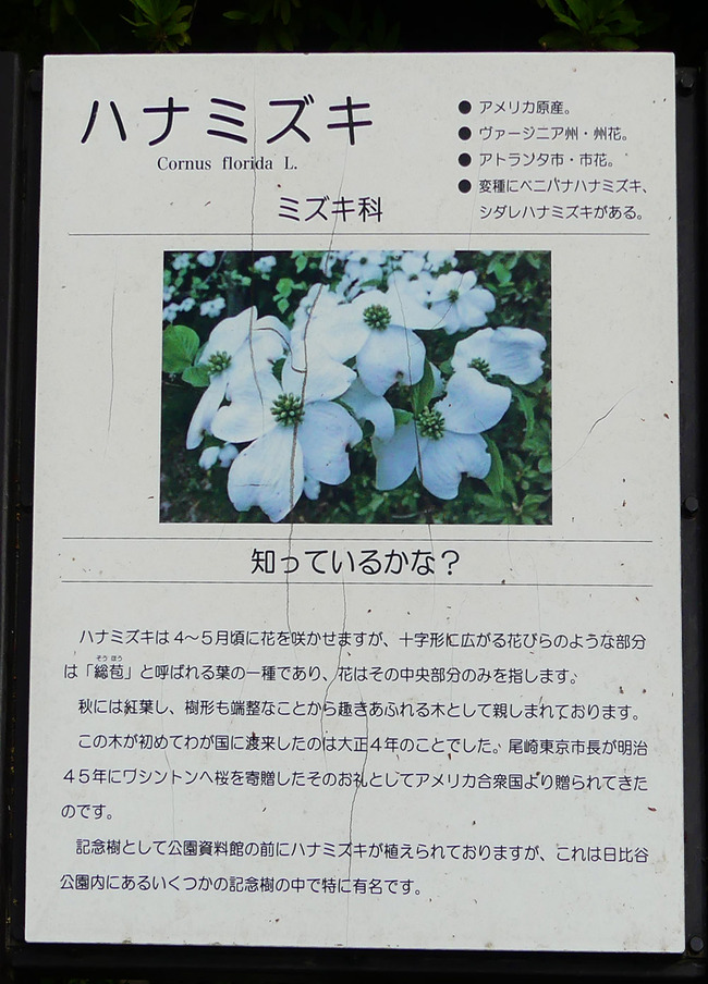 P3140523