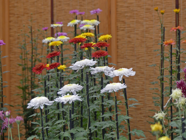 P3580832