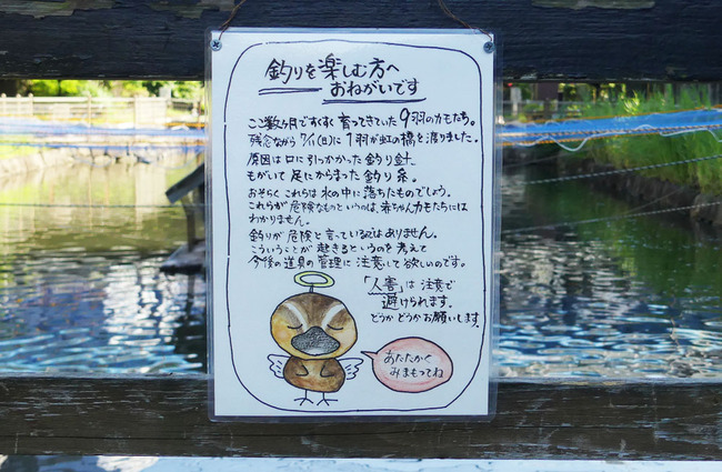 P6690713_edited-1