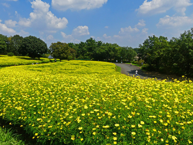 P2100323