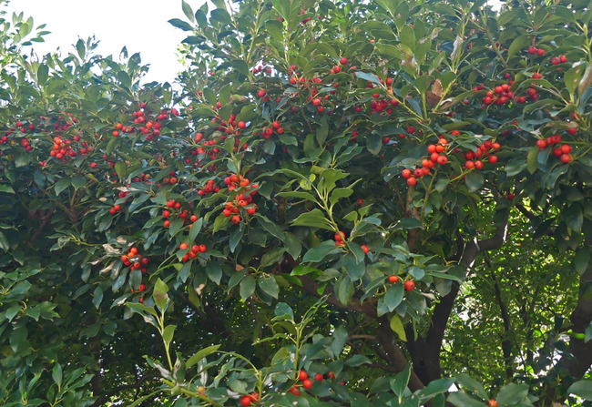 P3790268