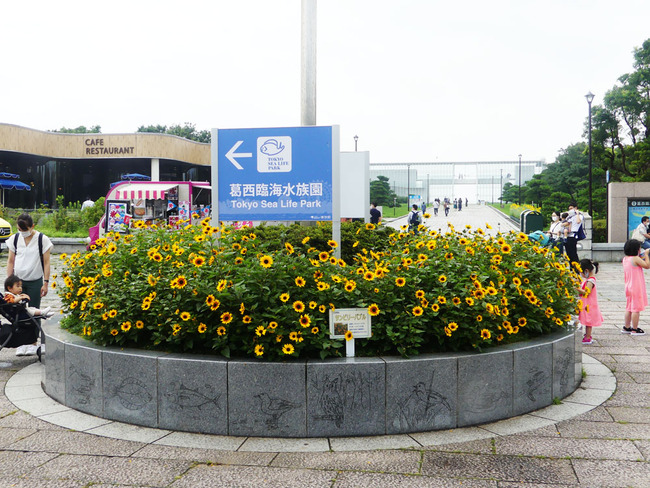 P5060707_edited-1