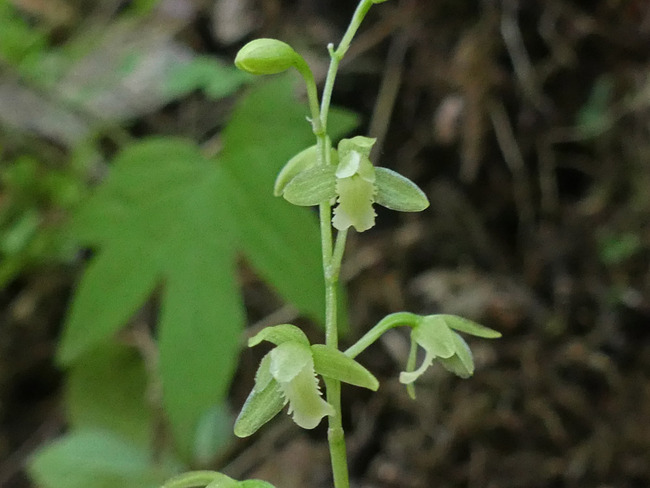 P6550827