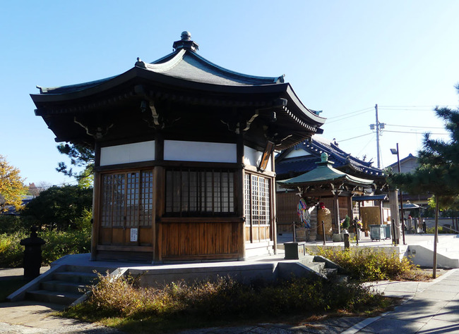 P5660493