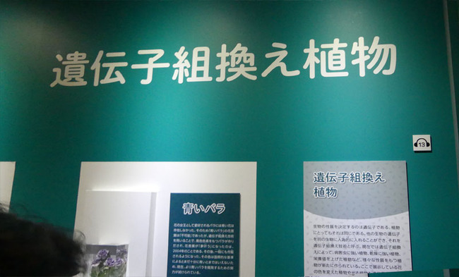 P6690372