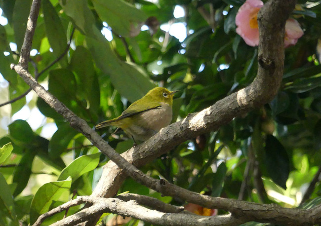 P5810798