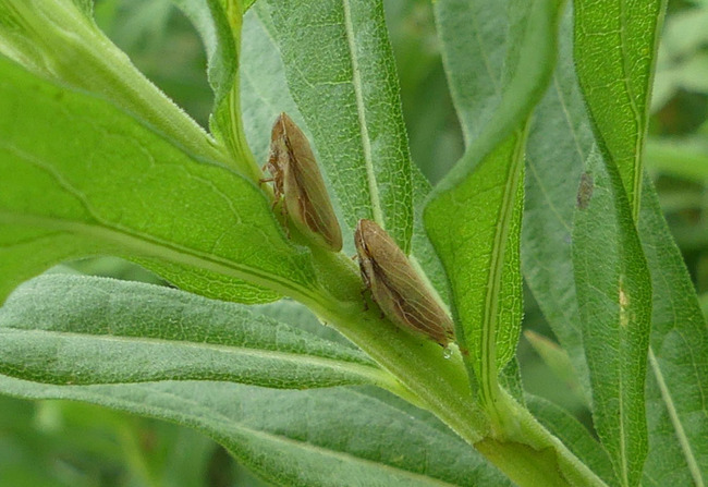 P5310057