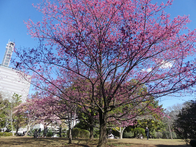 P1550270