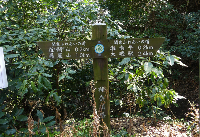 P6060493